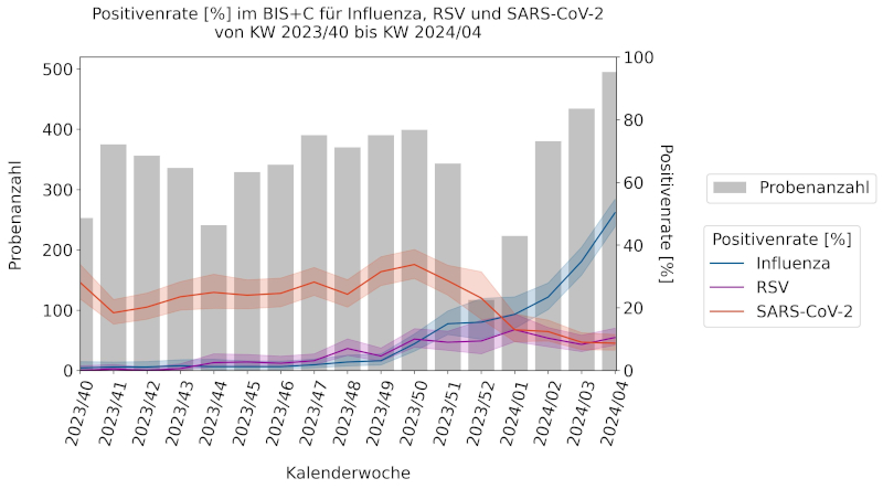 Abbildung 2 stellt die Positivenraten für Influenza-, SARS-CoV-2 und Respiratorische Synzytial-Viren der erhaltenen Nasen- oder Rachenabstrichproben im BIS+C Sentinel von KW 40/2023 bis KW 4/2023 dar. Es zeigt sich, dass SARS-CoV-2 das virale Infektionsgeschehen der drei Erreger bis KW 50/2023 dominierte und seitdem die Positivenrate stetig sinkt. Nach Definition des Robert Koch-Instituts (RKI) trat ab KW 45/2023 im BIS+C Sentinel für Bayern eine RSV-Welle auf, die vor allem die 0 bis 4-Jährigen betraf. Seit KW 51/2023 wurde nach Definition des RKIs die Grippewelle erklärt, die vor allem durch den Erreger A(H1N1)pdm09 hervorgerufen wird.