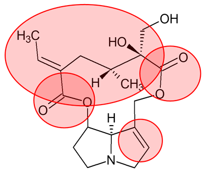 Strukturformel Pyrrolizidinalkaloide