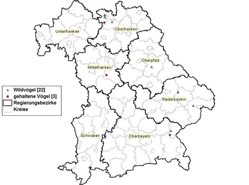 Die Abbildung zeigt eine Bayernkarte; eingezeichnet sind die Regierungsbezirke und die Geflügelpestfälle.